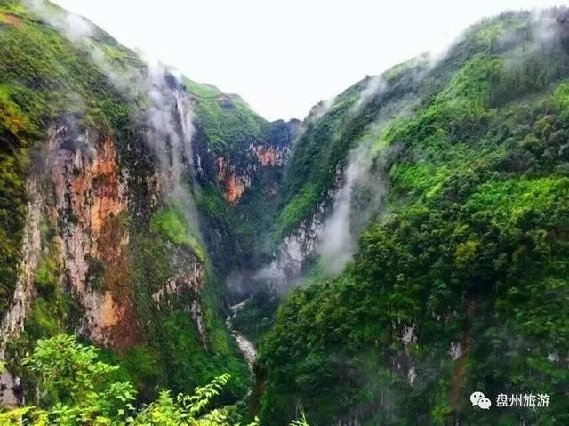 可爱啄木鸟逃脱